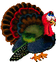 turkey