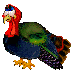 turkey