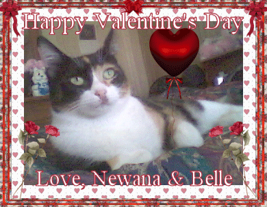 Happy Valentine's Day From Newana & Belle