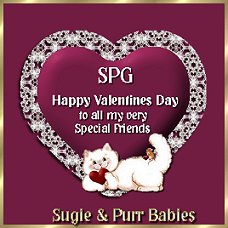 Happy Valentine's Day From Sugie & Purr Babies