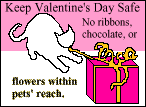 Valentine Day Warning For Pets