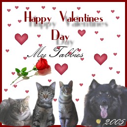 2005 Happy Valentine's Day From My Tabbies