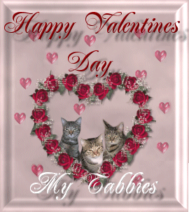 Happy Valentine's Day From My Tabbies