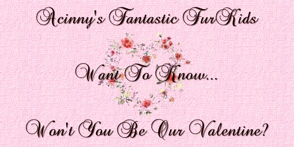 Acinny's Fantastic FurKids Want To Know...Won't You Be Our Valentine??
