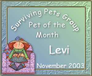 Levi SPG Pet of the Month November 2003