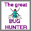 Bug Hunter Award