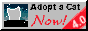 Adopt A Cat Program