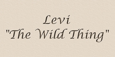Levi..The Wild Thing