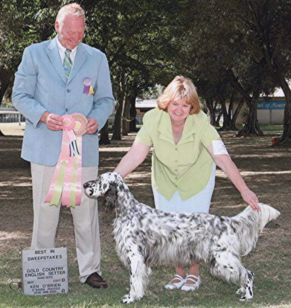Pixie Best In Sweeps
