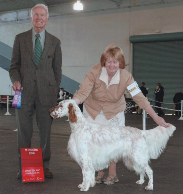 Ziggy Winners Dog
