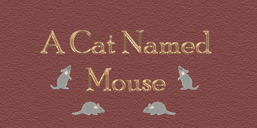 A Cat Named Mouse*