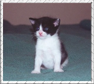 Baby *NoMo*