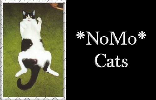 *NoMo* Cats