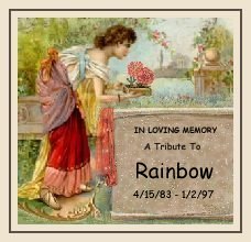 Tribute To Rainbow