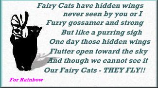 Fairy Cat For Rainbow