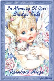 In Memory Of Our Bridge Kids..Rainbow Hugs