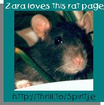Zara Loves This Rat Page