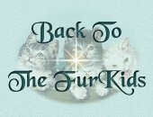 Back To The FurKids