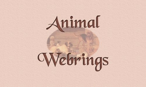 Furkids'Animal
Webrings