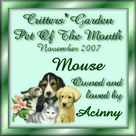 WOSIB Critters Garden Pet of the Month Mouse